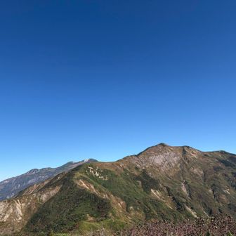 手前が別山、奥が白山の主峰