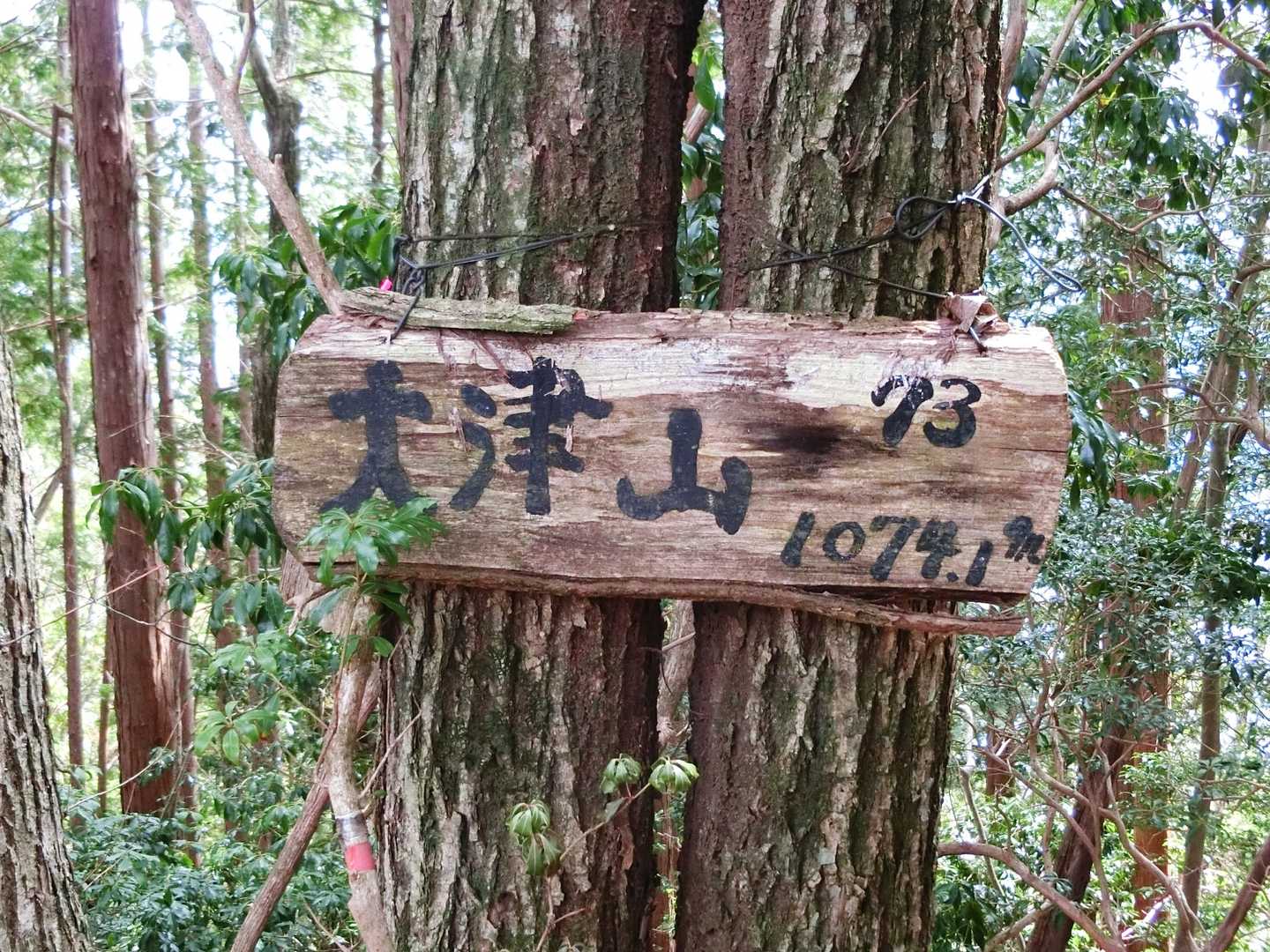 山頂