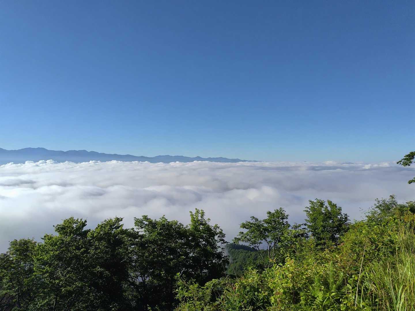雲海が素敵