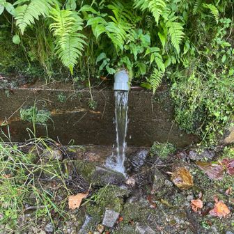 新鮮な水を頭から水をかぶって熱中症予防
最高に気持ち良かったです