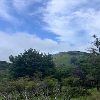 休まずに藤原岳山頂へ
ガスが少し晴れてる？
