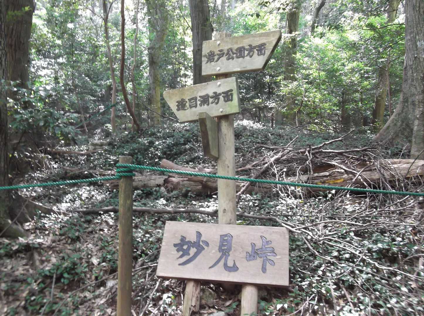 妙見峠発着｜岐阜市街を眼下にながめる金華山の写真