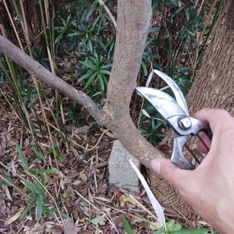 道中、ちょっとだけ切らせてもらいました！