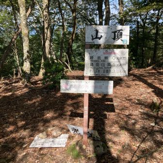 兜岳⛰️頂上