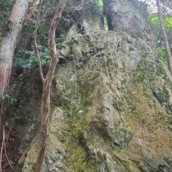 この上に割岩があります
周辺フィギア捜索するも見つからず