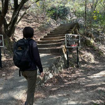 もうお馴染みのこちらの分岐。
鎖場と巻道とあるので、鎖場の方に進みます⛓️