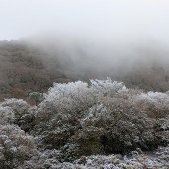 この先、天城峠のバス停に出れる見込みが立ったが、日が暮れてからのバス待ちは殺人未遂になると思った。「天城トンネル」は断念して、最短の水生地下バス停を目指すことにした。