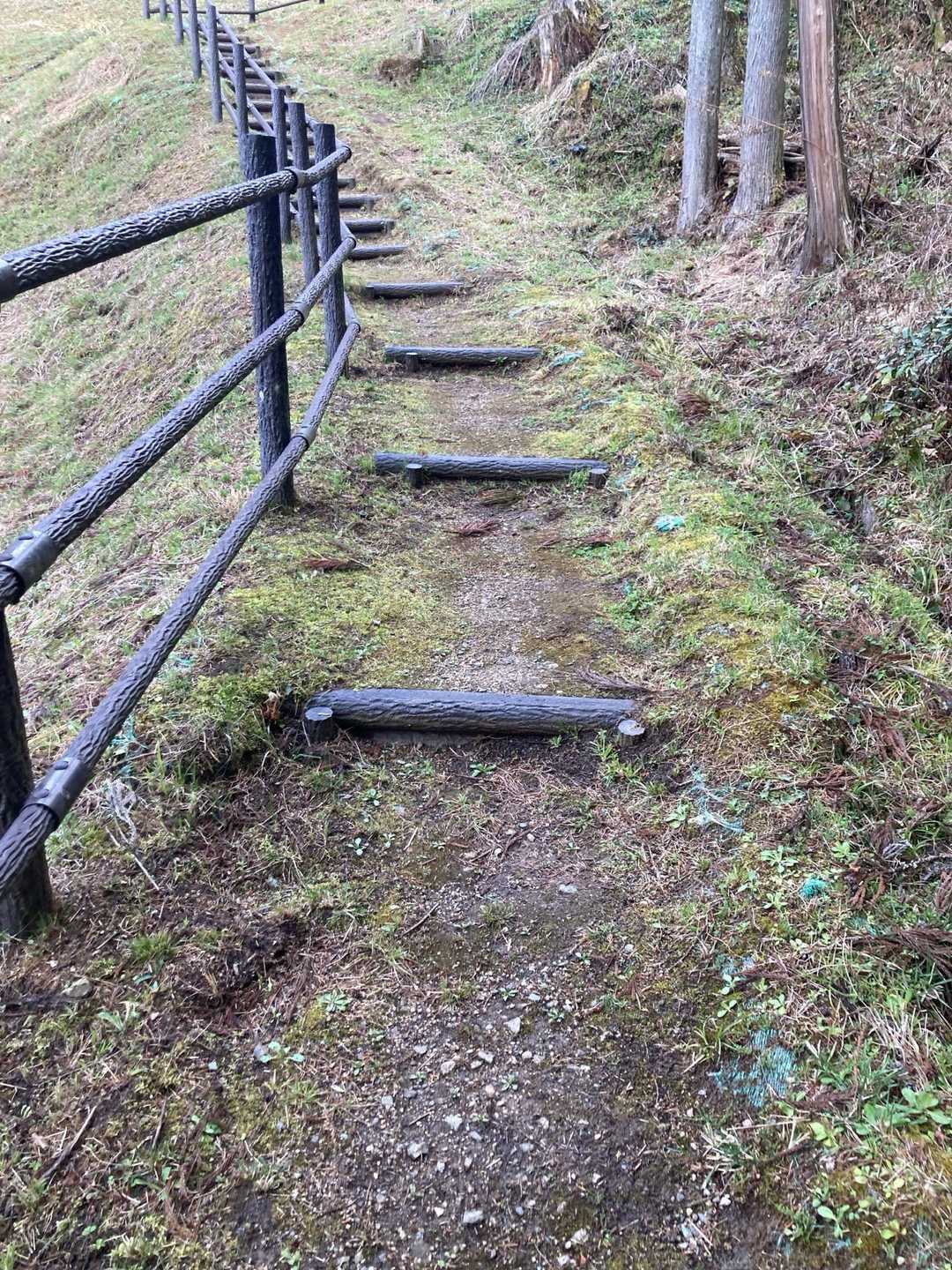 山道出て来ました✌️