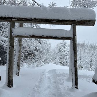 眺望はもちろん無し