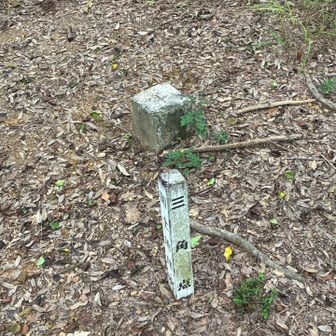 岐阜県に17か所しかない一等三角点の一つです