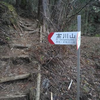 登山道の始まり