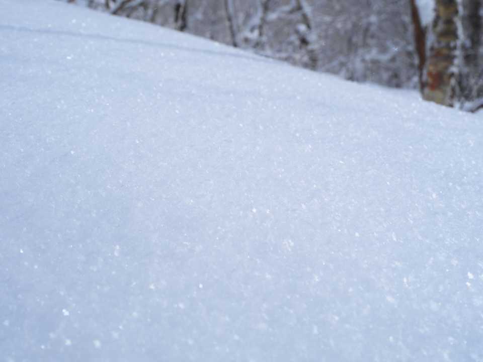 陽が差し　パウダースノーが煌めく