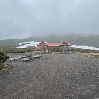 雨降ってきた