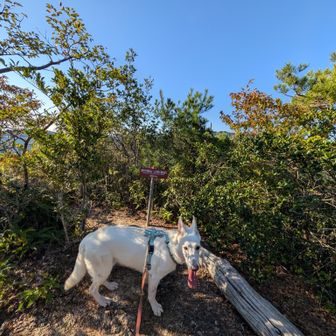 雄岳山頂