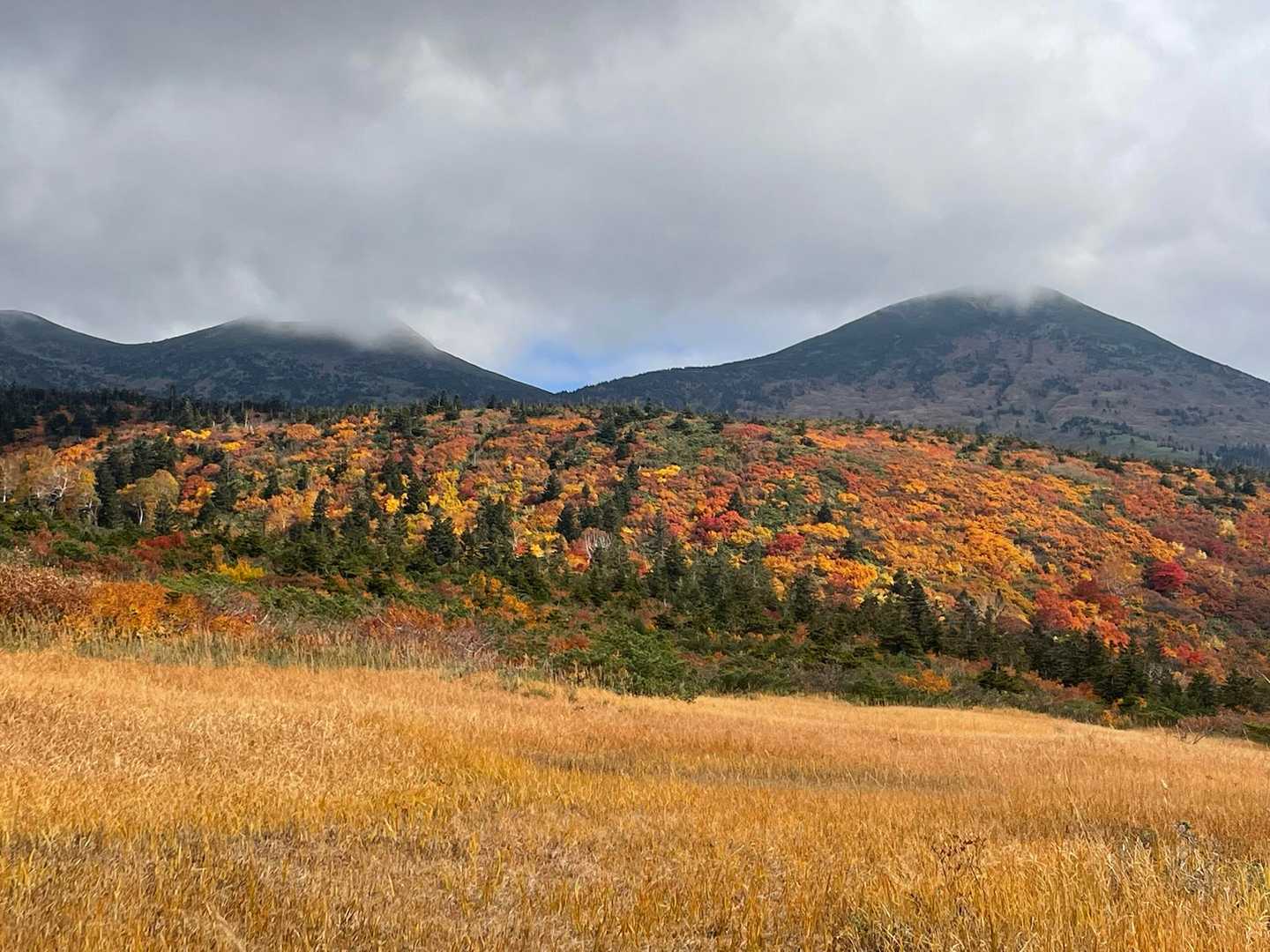 毛無岱湿原経由八甲田登山道入口-八甲田山 往復コースの写真