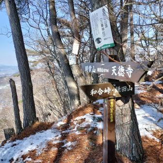 坂田山に戻ってきました。左手に下っていきます。