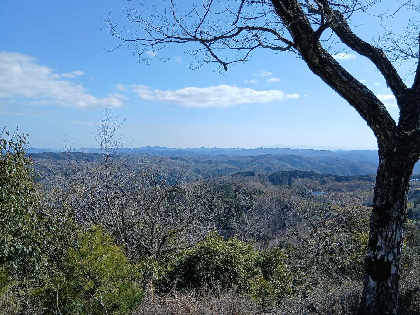 八塔寺山-飯盛山 周回コースの写真