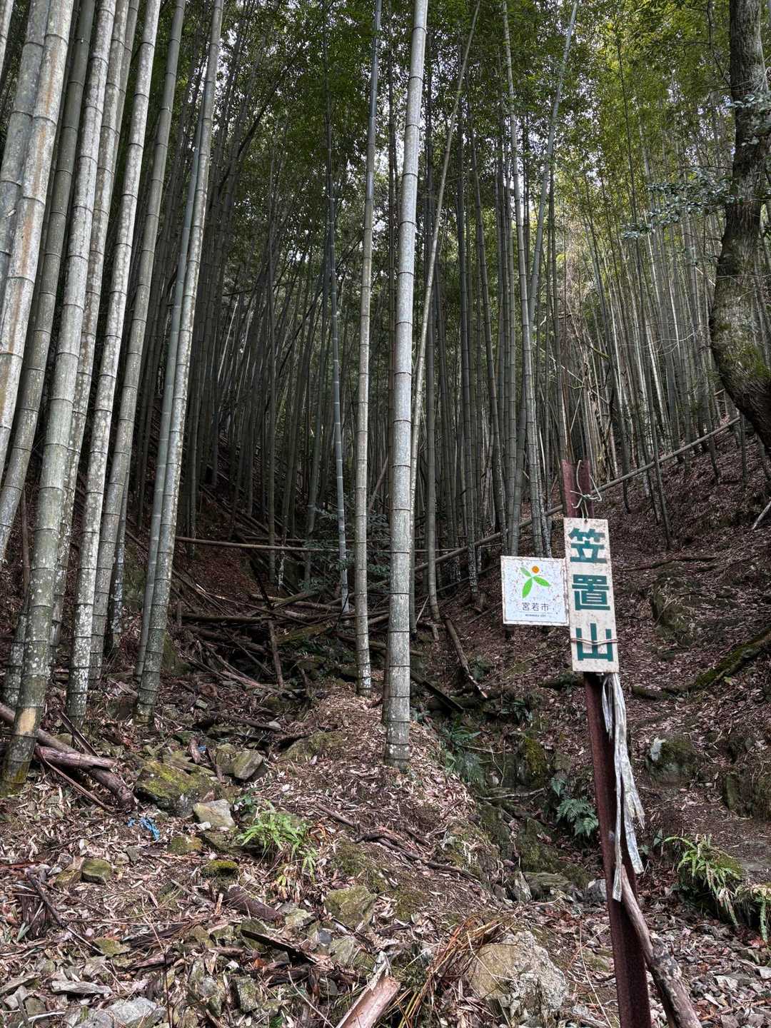 ここが笠置山登山口⛰️