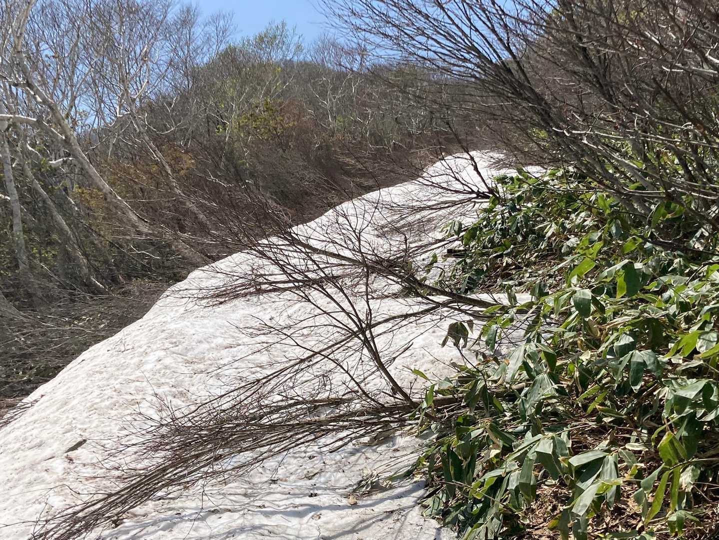 雪渓☃️アイゼンは無い😥
すぐに右➡️へ😅ここ以外、雪はありませんでした。