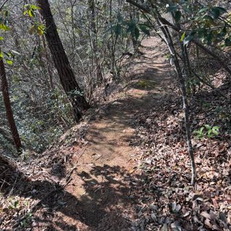 ちょいとホッとする道🤭