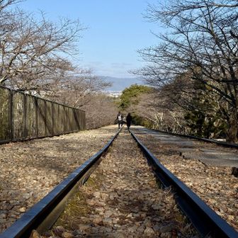 蹴上インクライン✨
https://biwakososui.city.kyoto.lg.jp/place/detail/23