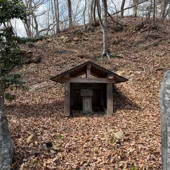 阿夫利神社⛩️
もっと大きいのを想像してた😅