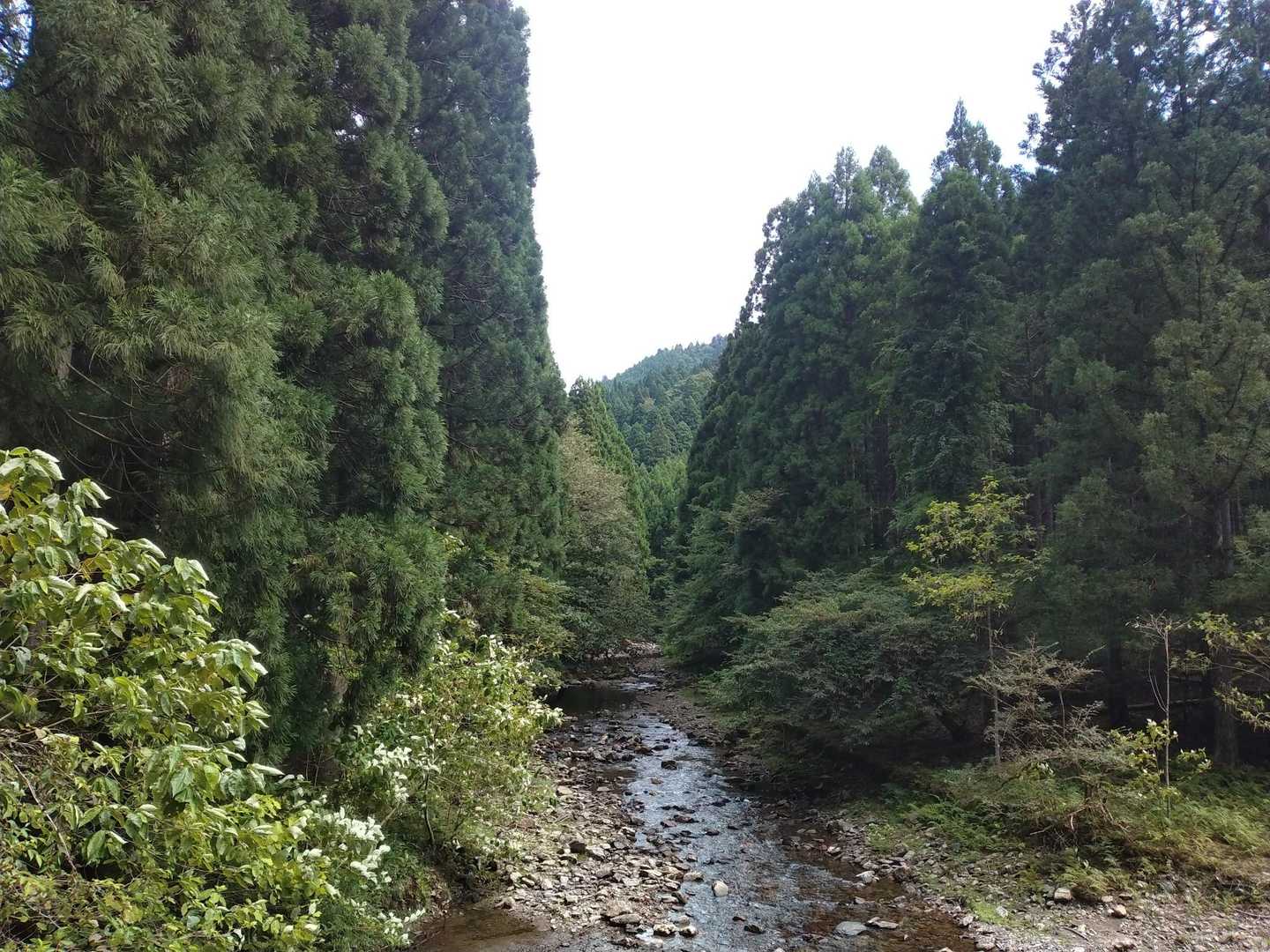 けやき峠 往復コースの写真