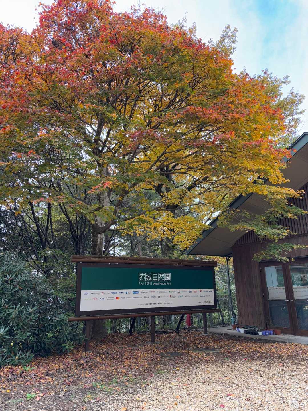 赤城自然園 クマに怯えることなく 紅葉 ... / ちーちゃんさんのモーメント | YAMAP / ヤマップ