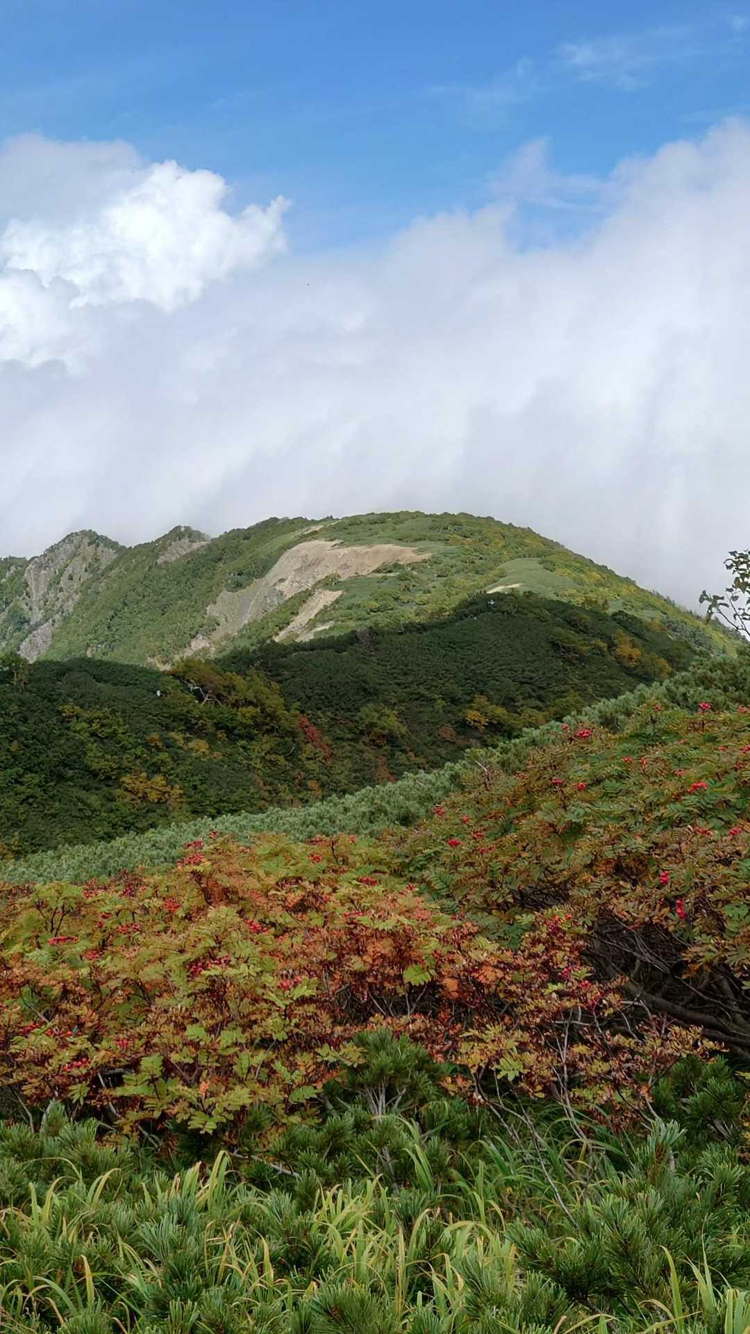 始まり始まりつつある紅葉🍁！