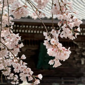 
　　　　　昨日のもにょもにょもにょが
　　　　　叶った日でした♪

　　　　　最後まで見て下さり
　　　　　ありがとうございます🌸
