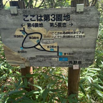 案内板