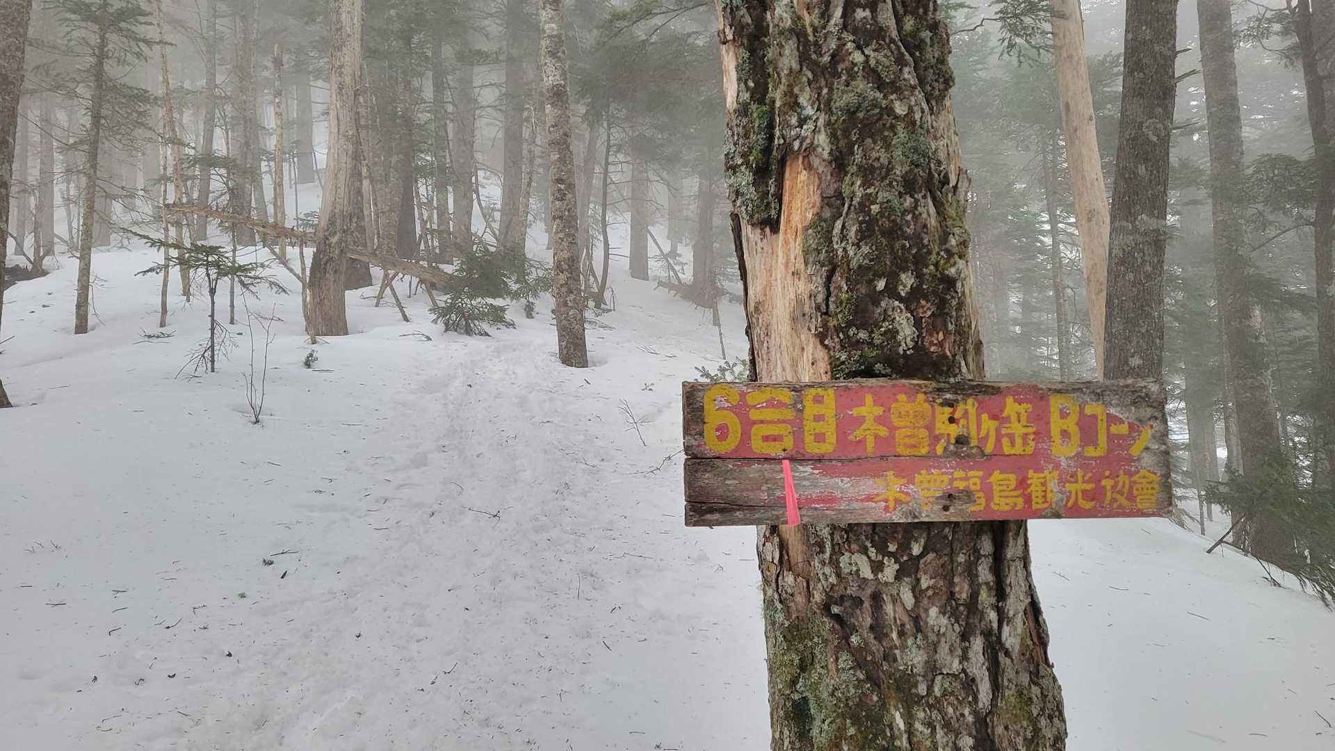 6だってさー