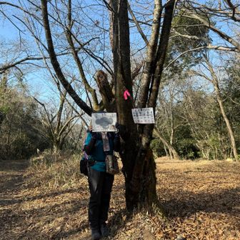 裏側は🐘さん🤭