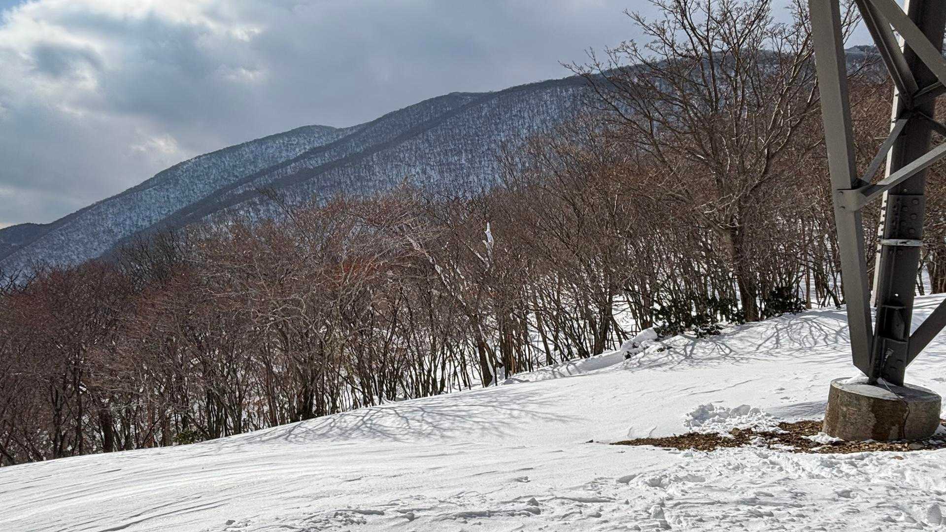 藤原岳方面　今日も大賑わいでしょう
