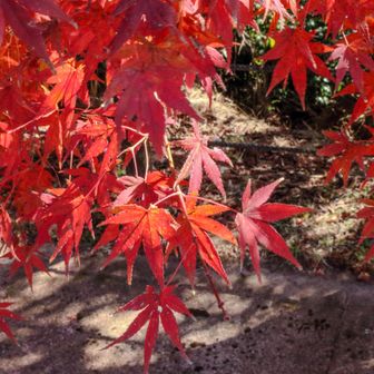 しばらくカメラをとり続ける