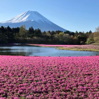 はっぴぃ
