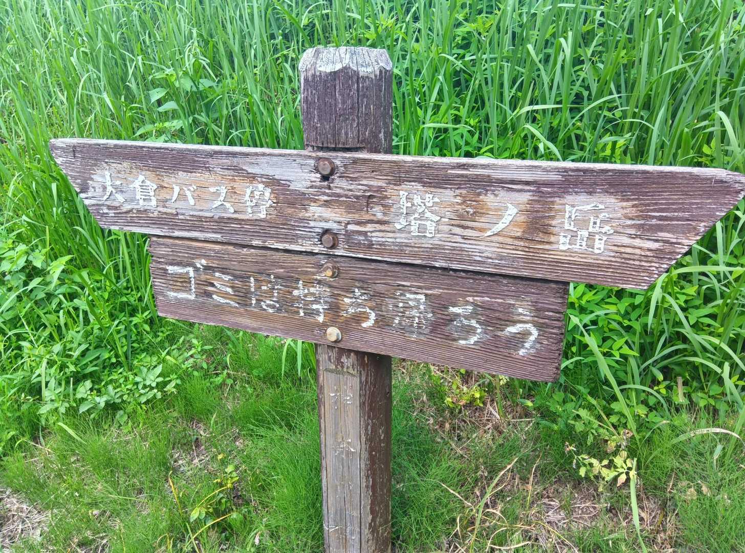 寄バス停-櫟山-栗ノ木洞-後沢乗越-鍋割山-小丸-花立ノ頭 縦走コースの写真