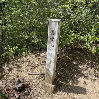 9ピーク目の吾妻山に到着
