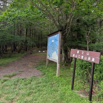 森から出て来れました。水ヶ塚公園はすぐとなりです。
