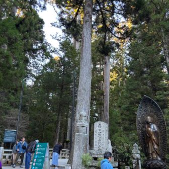 ここから撮影禁止📸🈲
脱帽にて弘法大師さまのお墓に向かいます