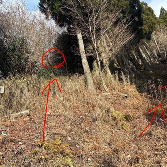 登りは間違えて✖︎の方に行って大変な目に遭った