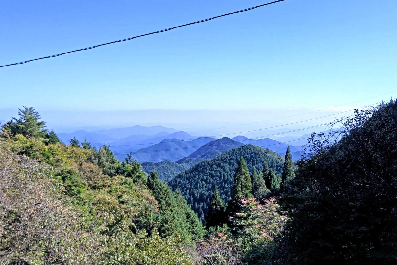 舗装路を歩いている途中にパチリ📸