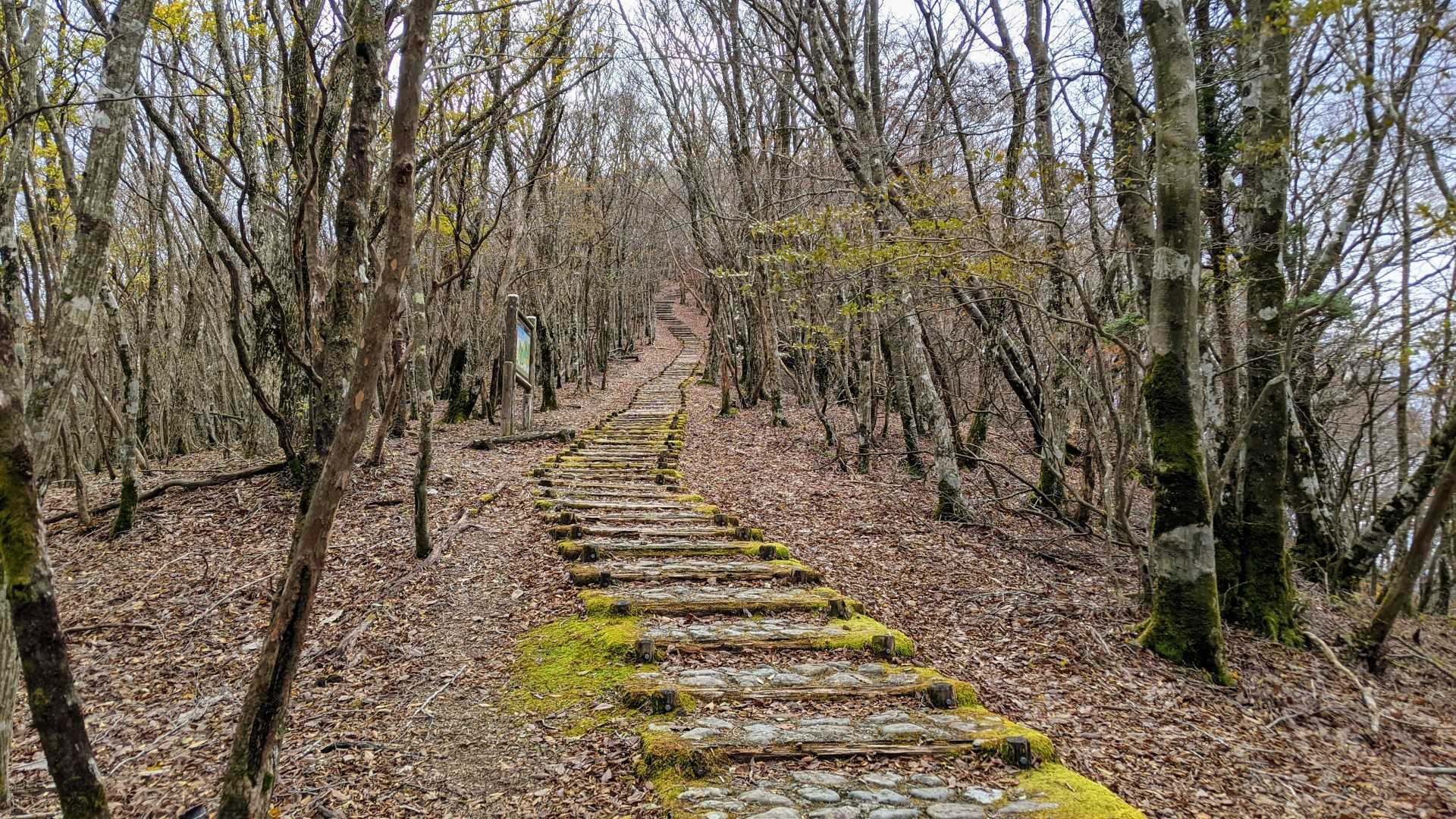 ごまさんスカイタワー登山口-護摩壇山-龍神岳 往復コースの写真