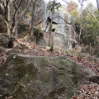 ここの登り楽しい