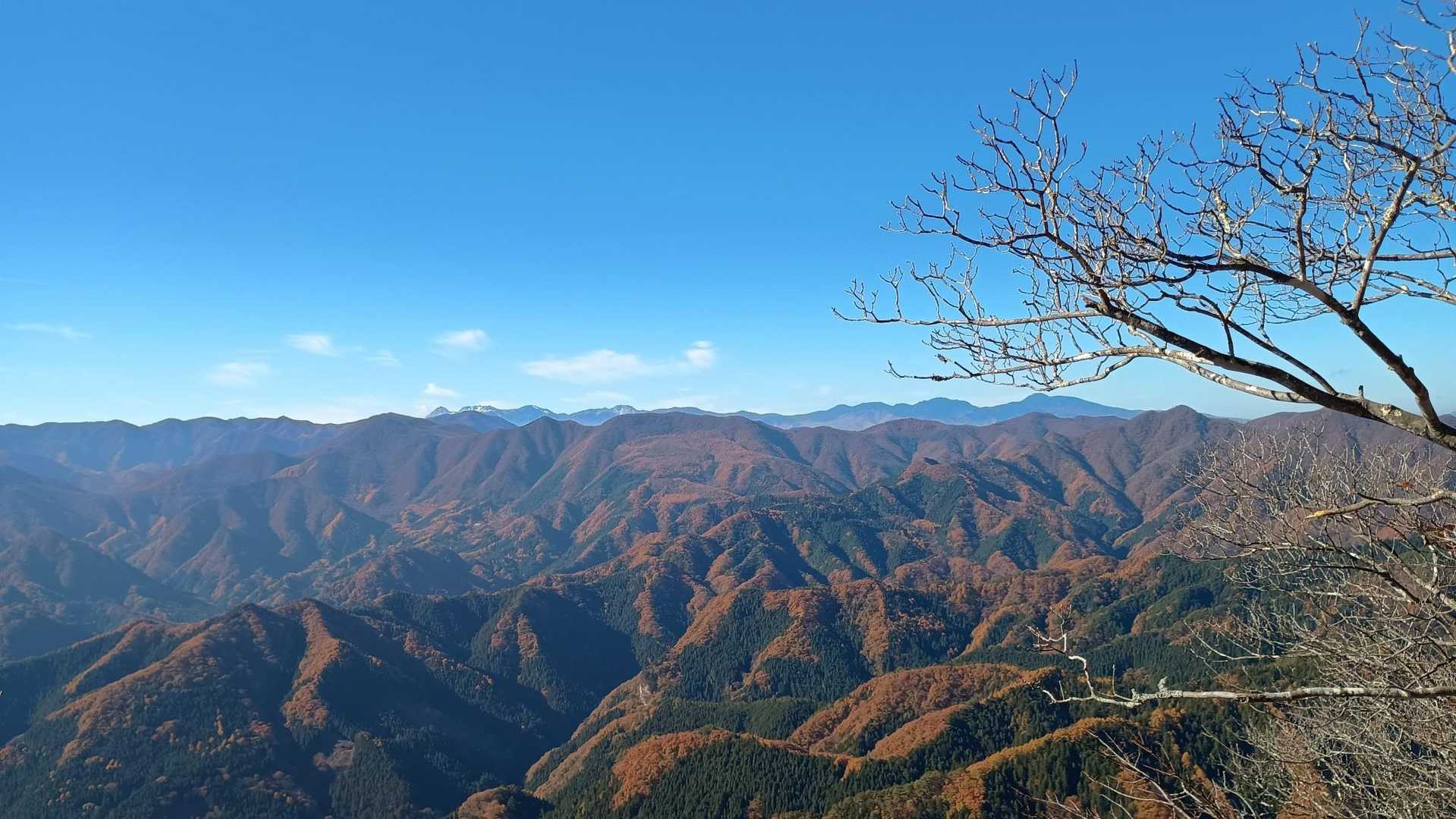 奥の山が八ヶ岳オールスターズ🥰