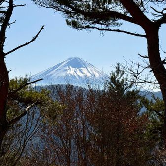 神座山からの富士山。
大栃山へ周回しに行きますー