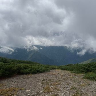 唯一雲が取れたがここまで…😭