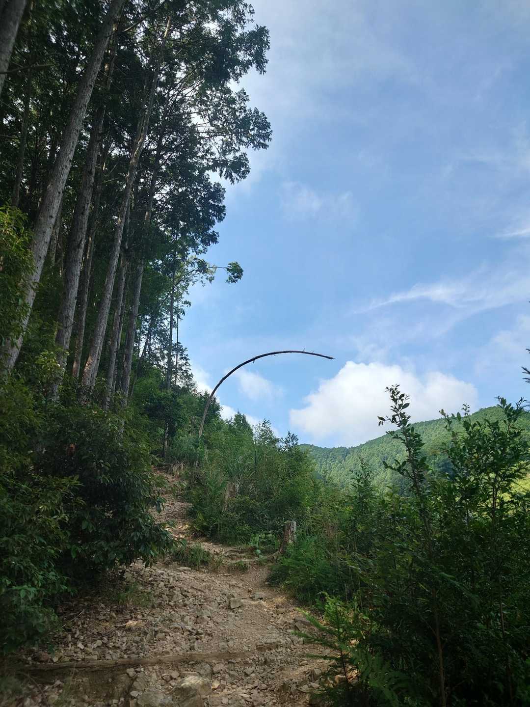 日和田山登山口-金刀比羅神社-日和田山-物見山 往復コースの写真