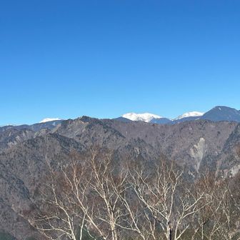 大光山を少し先に進んだ、お仲間様イチオシ展望の西尾根からの眺めは素敵すぎました💘真っ白な南アルプスと布引山&笊ヶ岳✨