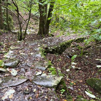 そんなに段差は激しくないのですが、岩岩した道が長く続きます。あ、でもこの道になったら三頭大滝はもうすぐだ